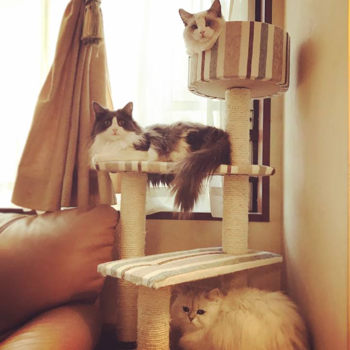 62730a59 a204 46ef a496 e7e5b511e0bd