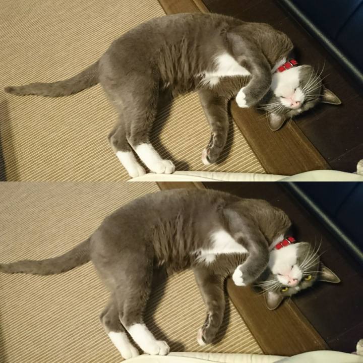 62731108 6a12 4fc2 bf69 8eb74dcbce86