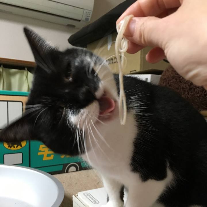 62740879 a342 4e25 ba18 623d2b56dc66