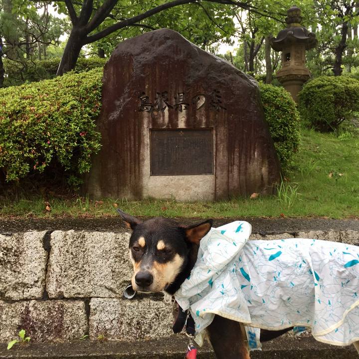 62745355 e26d 4b85 bfe6 eda06349bd5b