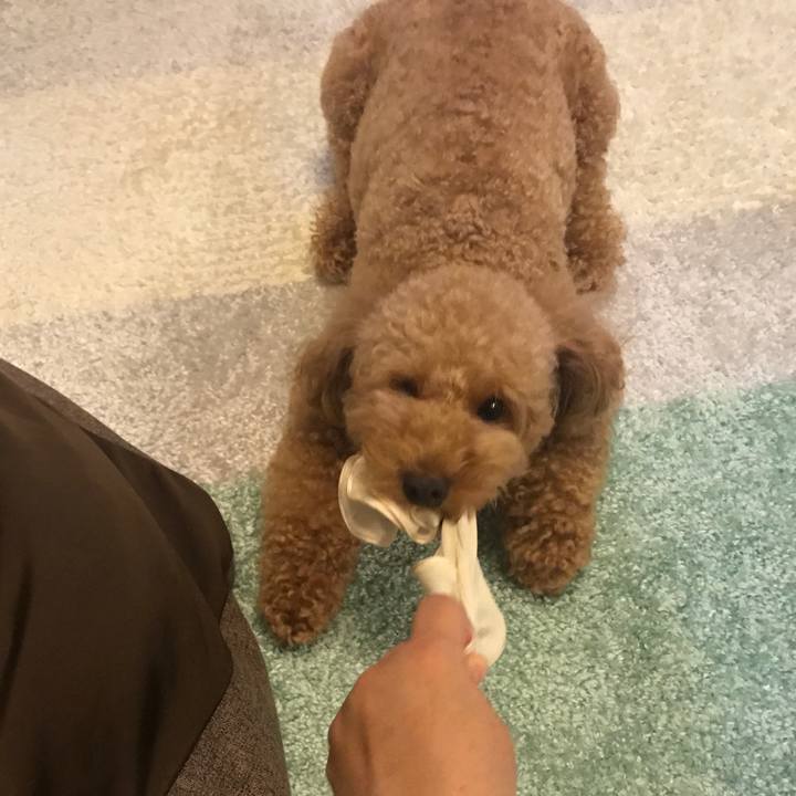 62746927 6cbc 4460 a8f1 2b8b3bd52665