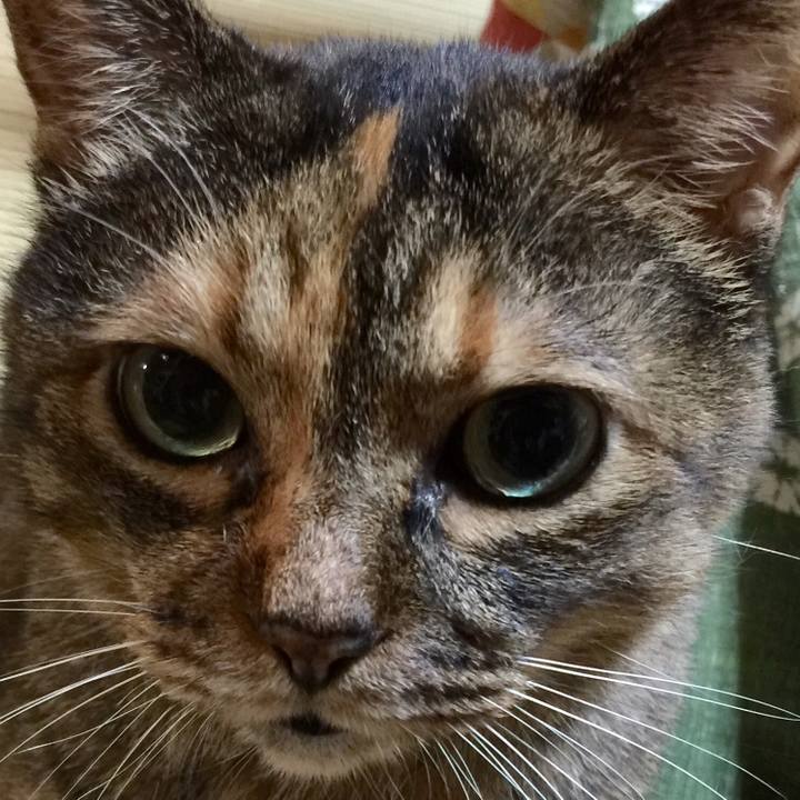 62751da8 28dd 4b82 a8fb c2dbc9fced56