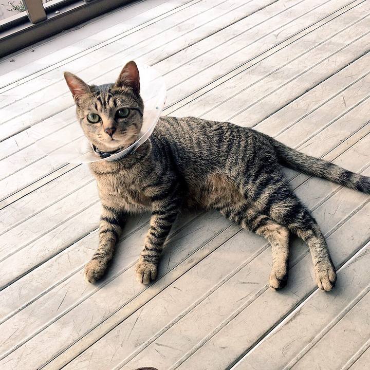 62754d78 d288 4ce6 9588 1777892928ac