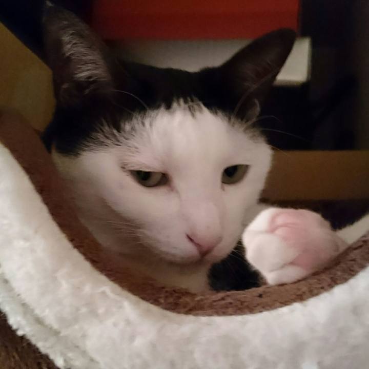 62755849 487e 4180 82ac 5b0c8856ac1f