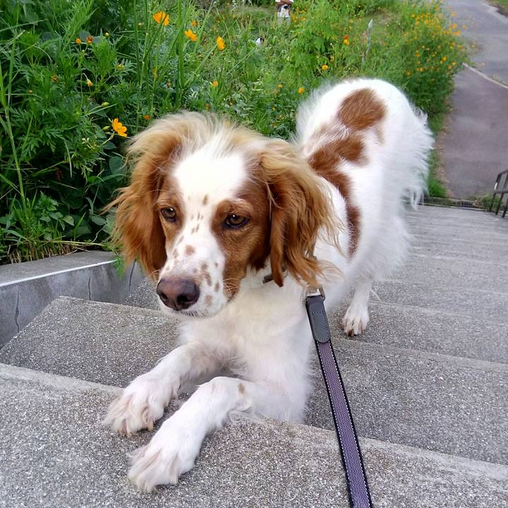 627592f3 a563 4b54 83b1 419f411a401e