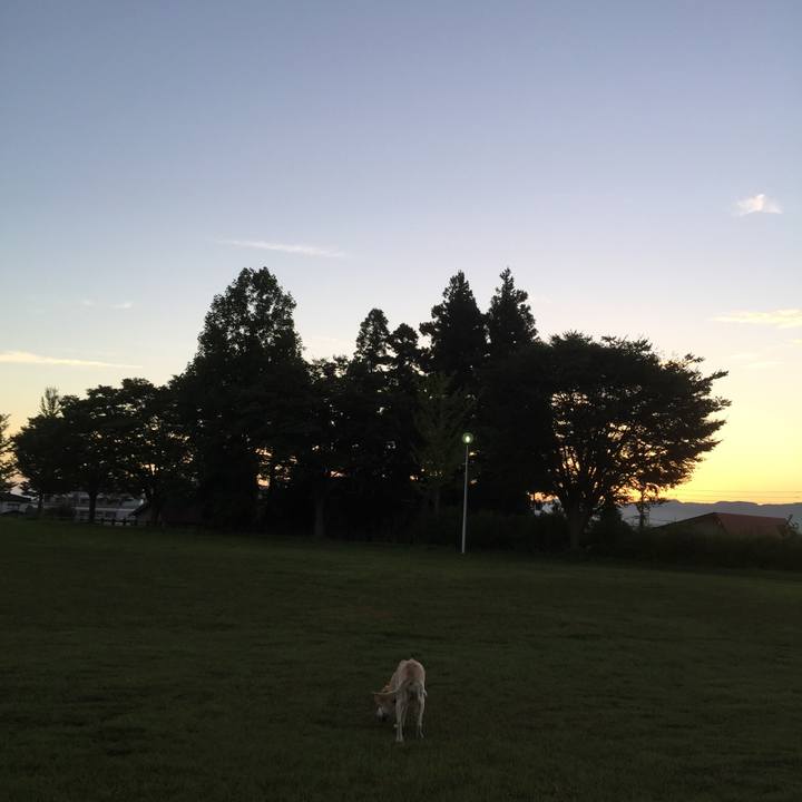 6275fc8b 6bce 4492 9407 0ef6f4011b82