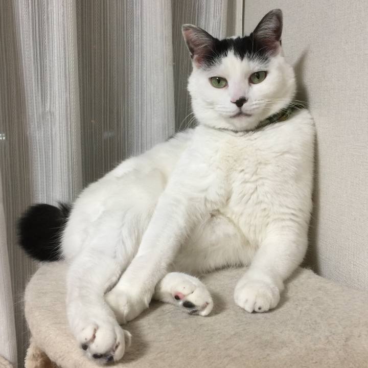 62761945 da68 4d62 91ad 93e81e3171ec