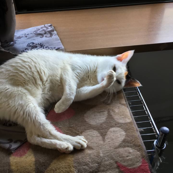 62765518 62fc 451a 8421 ba5c34c3ea91