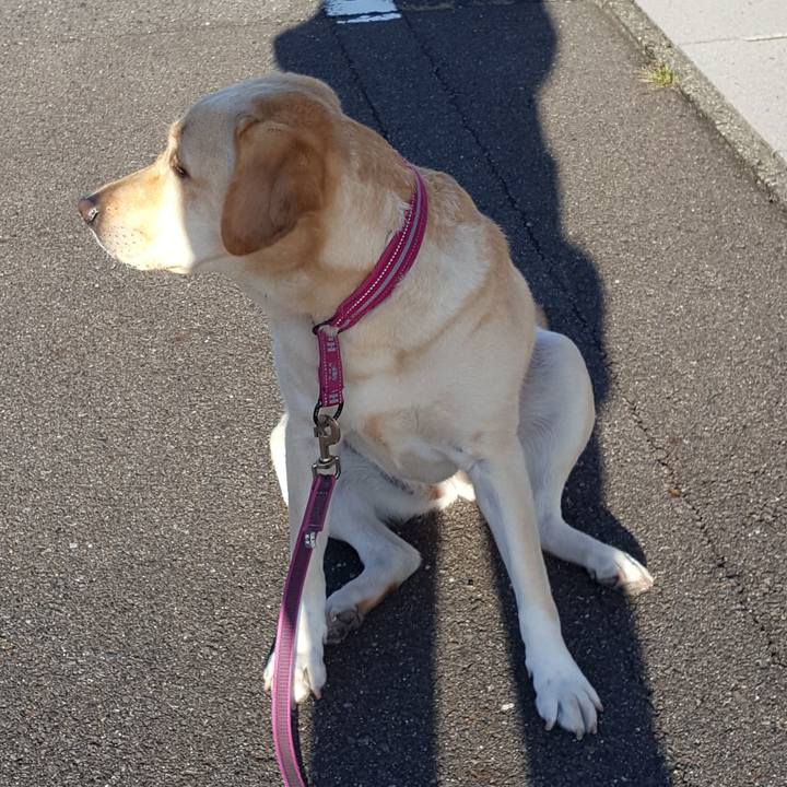 62765cdc b7ba 4fc2 a131 983c395a816a