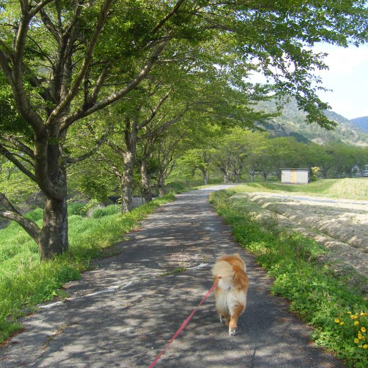 6276ea61 840e 4b0a 9a11 b32609ce9f53