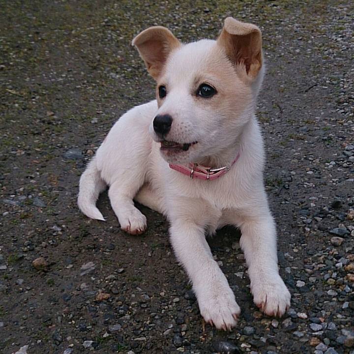 6277542d ccec 4138 9697 79c74da0a68a