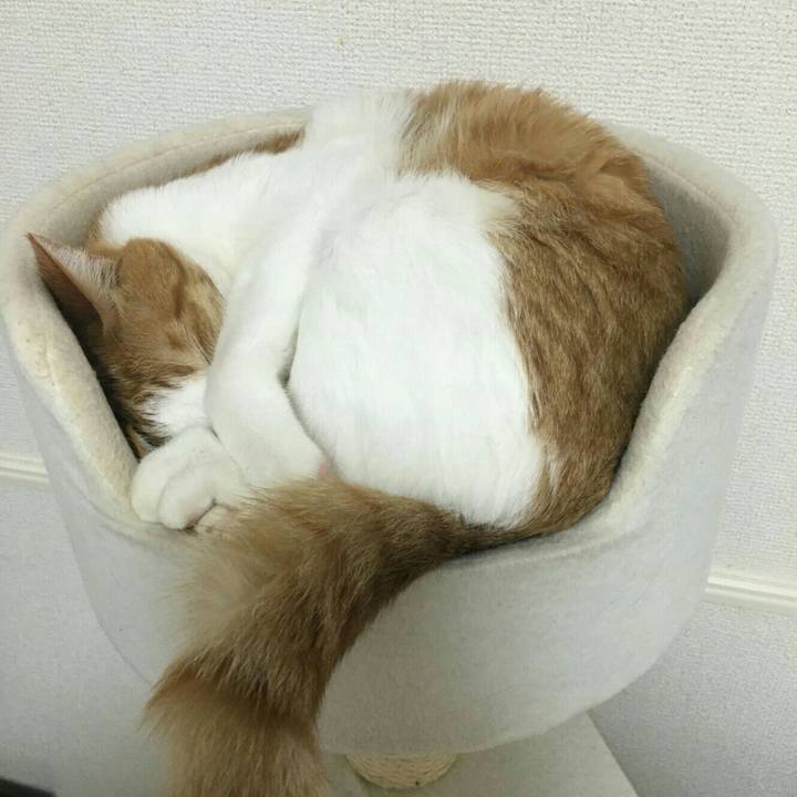 62781690 a37b 43d7 b7d0 c32520063f07