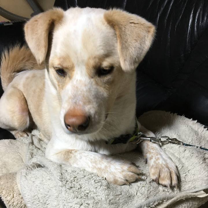 62782fe8 5482 42d6 bb68 a34ed2ac0bd2