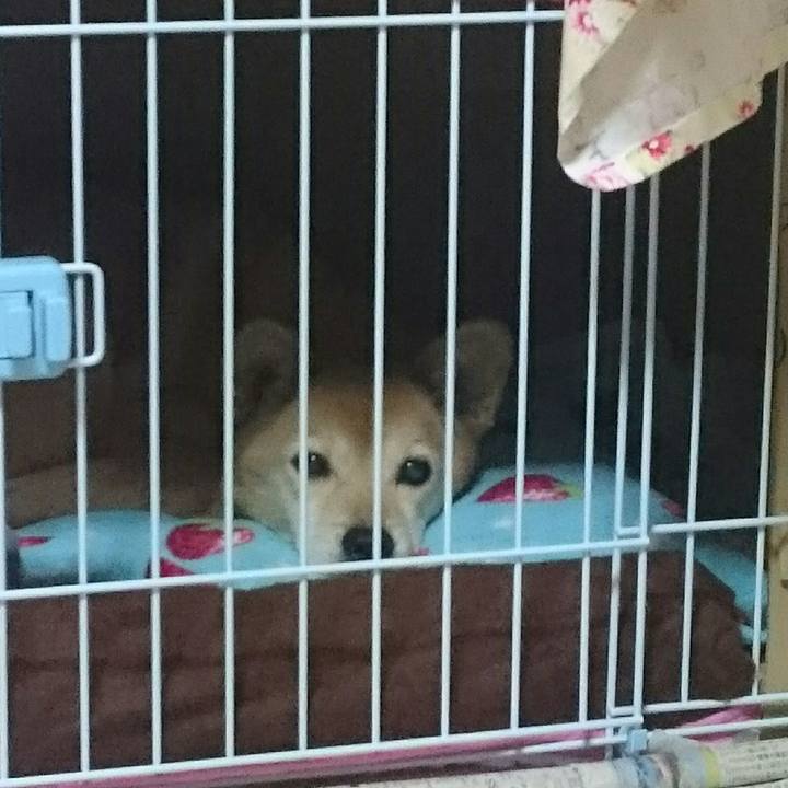 627834a9 ecd1 4c92 876c 763fd92455fe