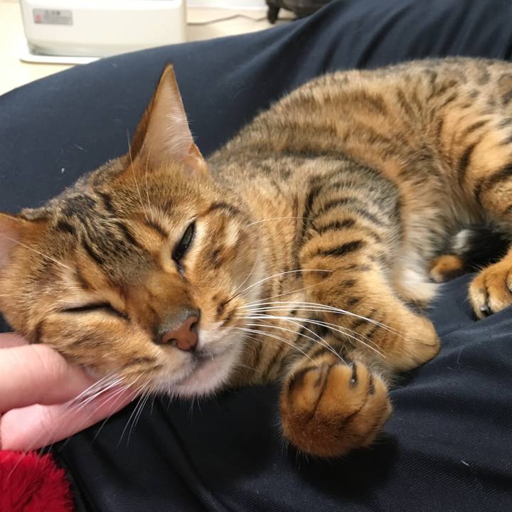 6278539e 2547 4843 8e03 9d7dad599d73