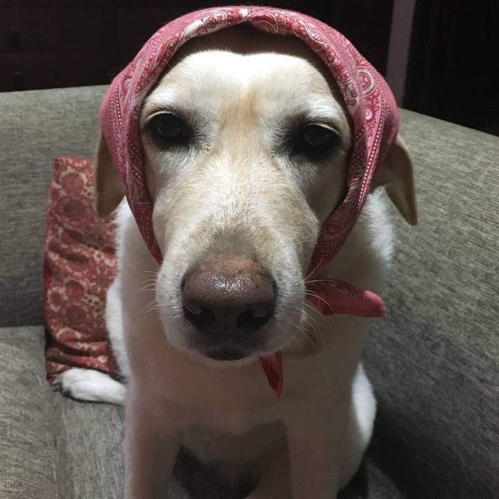 62787740 f553 4c88 9aed 6fe5a666b3f9