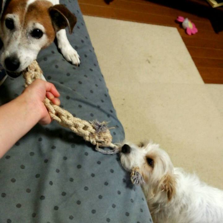 627913f0 efb9 4061 98c7 82d005b972e5