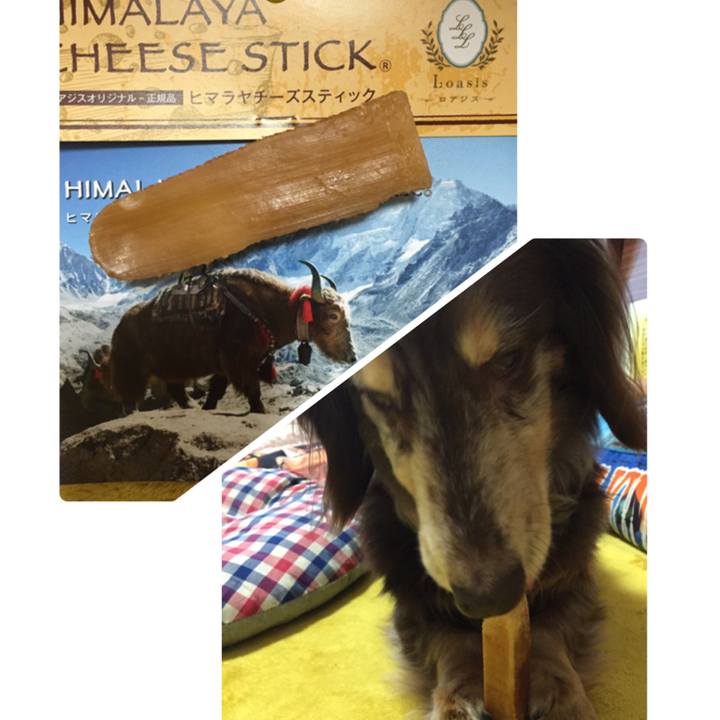 6279899b ebc0 4c0f b27b 75c0456554fd