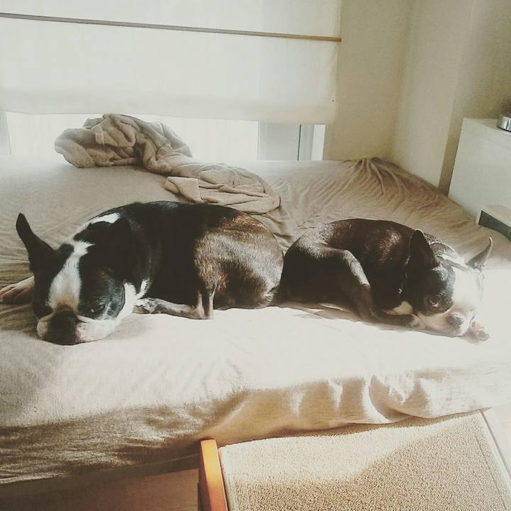 6279b392 92a6 4173 84c3 201f1aec09a5