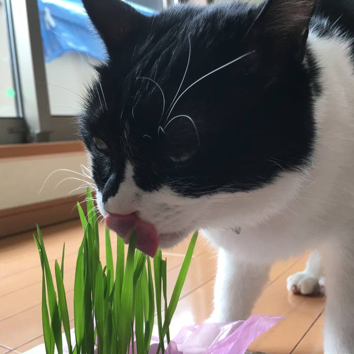 6279e1c4 2700 47c3 8e9f e31506e7a13b