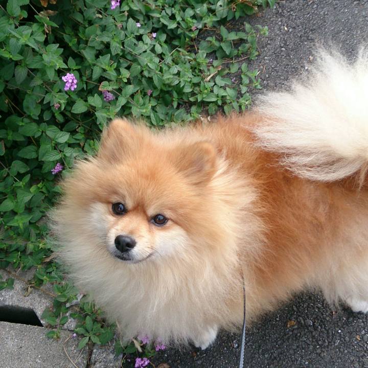 6279f76e 14bf 41f3 a40d 5c952a53d5a7