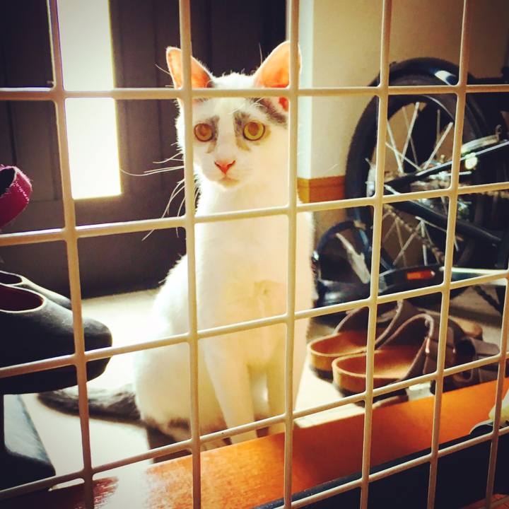 627afdb4 3bf1 4fc9 a06e de9654da686c