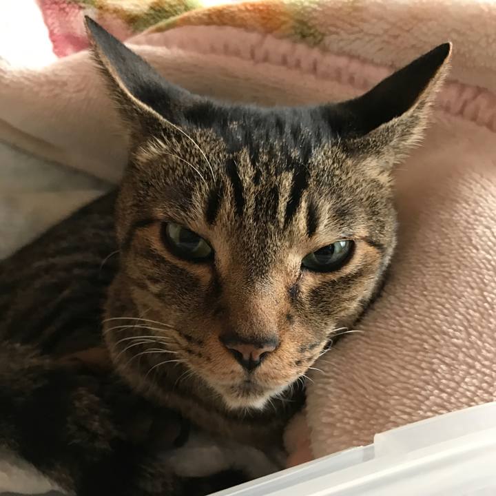 627b7f55 7c6a 4afe a10a 4b261af5671b