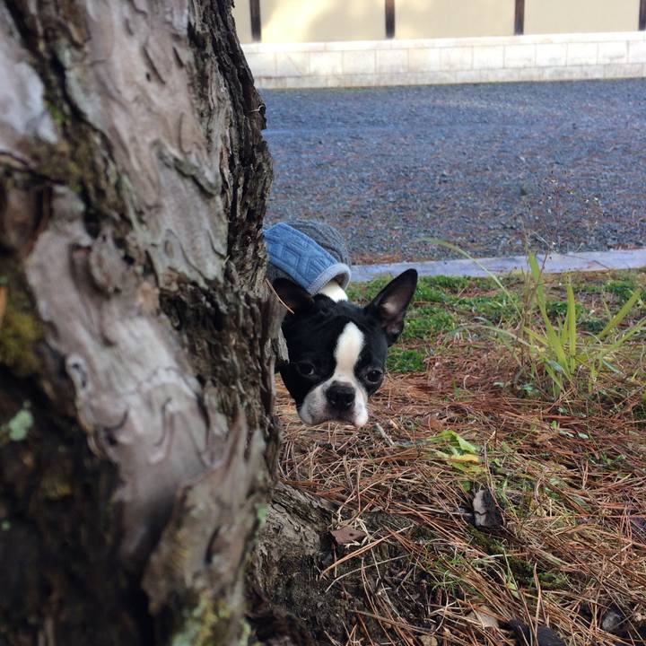 627b8b47 487f 45b1 8523 95fd9f3a532e