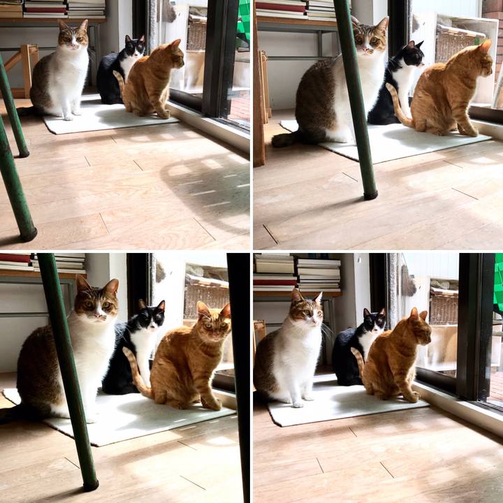 627bab14 783d 4a13 bbce c32ef0e601df