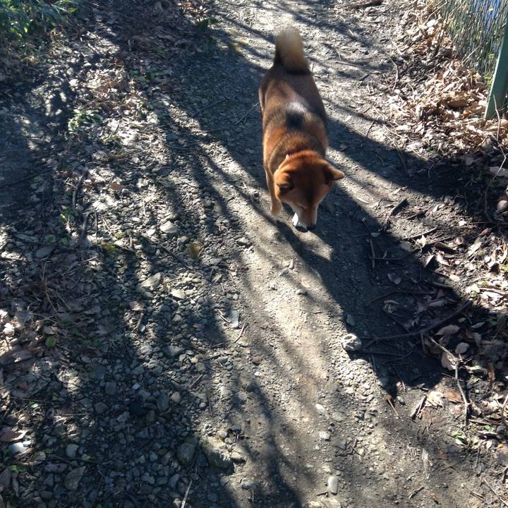 627c4a52 7059 443f 9fd2 981221262913