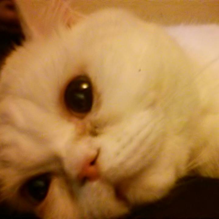 627d23fa 6963 400d bb51 6d2d45633420