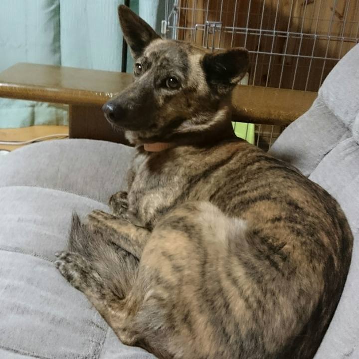 627d49b7 2271 471f 9e4d b07478ce7830