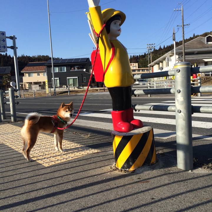 627d9754 a3d9 4250 b345 471944de4f8a