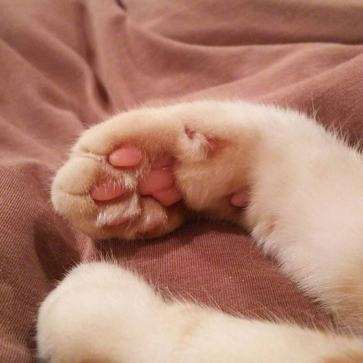 627e01d5 84b8 410b a5f3 54490c7eb826