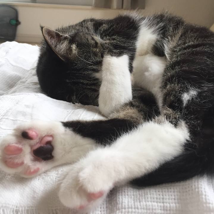 627e0a41 f5f0 420f a606 5c13b4fd6c68