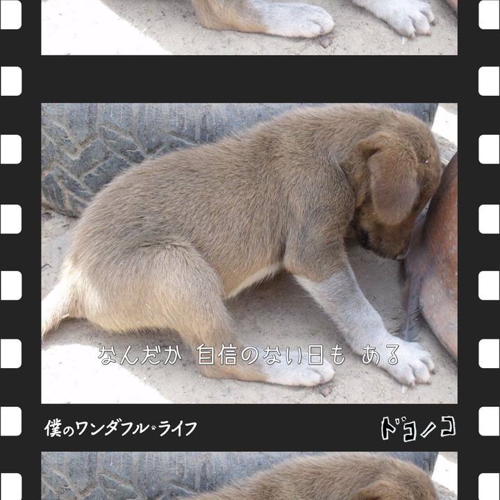 627e1bc3 7826 459a a42f 1fc501cf20d1