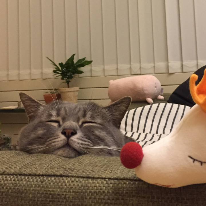 627e441e 680a 446e 9e3d 43116d5c34c3