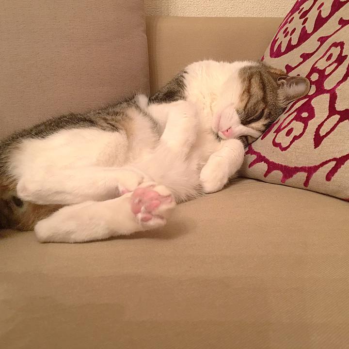 627e7367 64be 4582 a1a8 3ad8f8e3b417