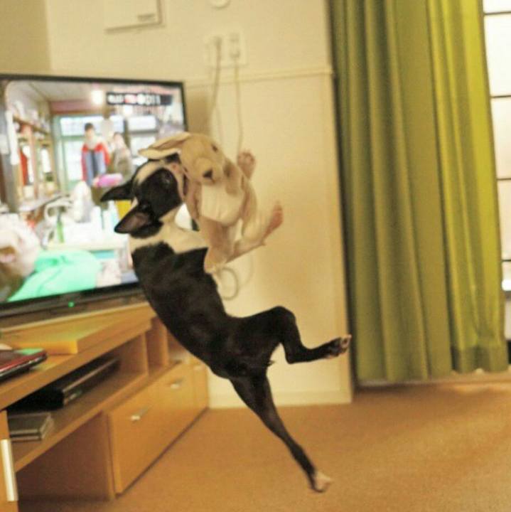 627e92e1 8387 4603 9a07 fd03ce9652c3