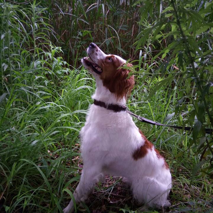 627f4295 ba41 4aee 95ab 3c339f0109a5