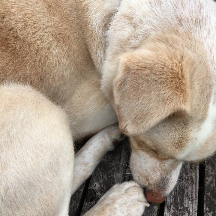 627fd297 4b84 4627 9192 8e9cd041acdf