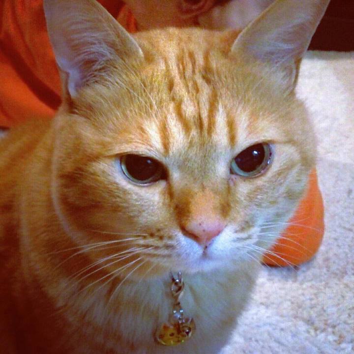 62802632 ced9 43fc 9afc 0f6717425370