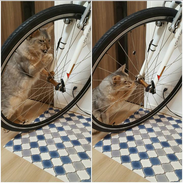 62802790 ae8b 4b4d ae34 7ad76a32cd81