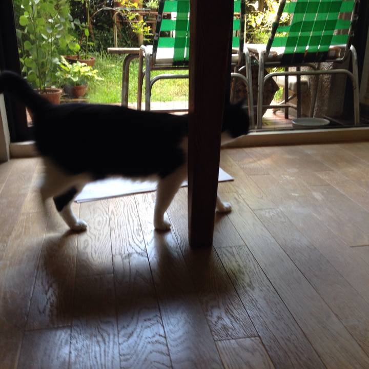 628049a8 9d57 4603 92a6 7e9981a78df5