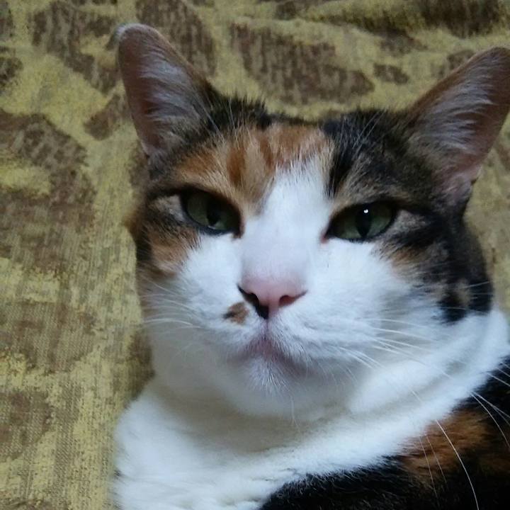 62805dd5 6306 4226 9423 08a5b35f59cd