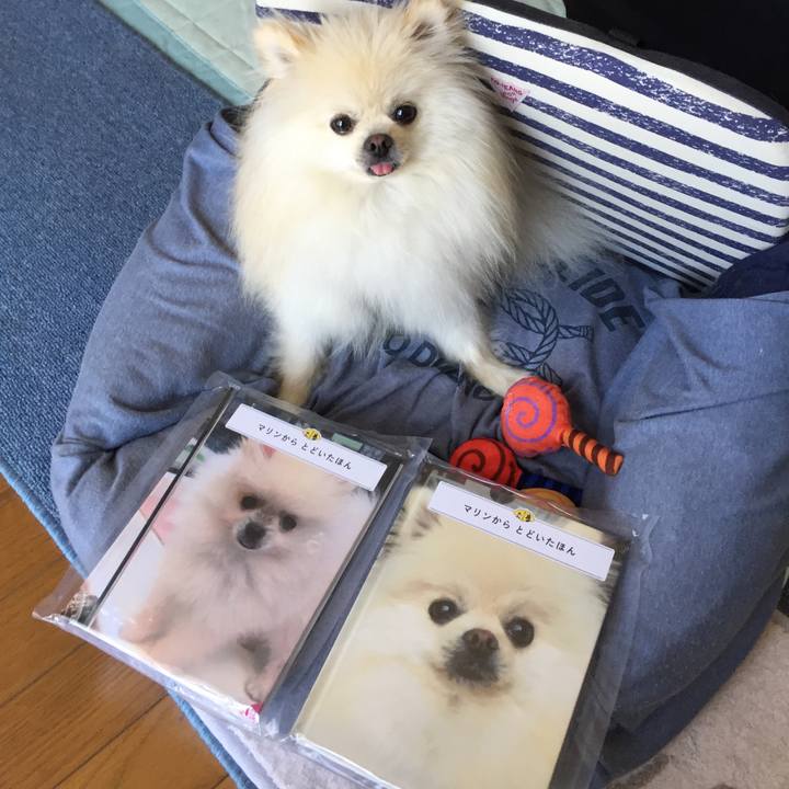 62807598 bca1 4f20 8c01 71fc770c60a2