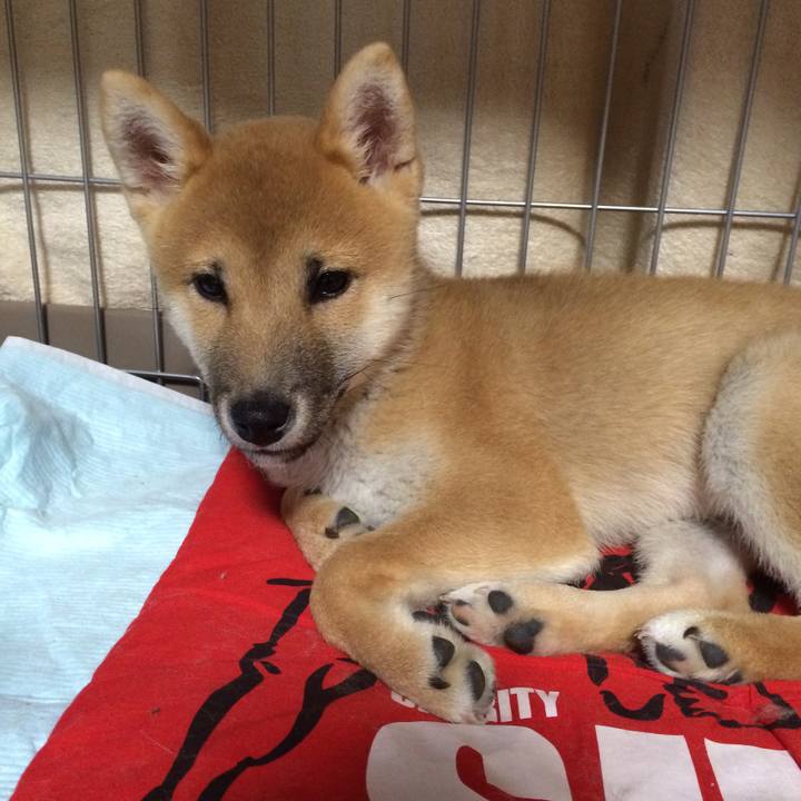 62807dea 9d5c 4f10 b496 41ae00a3f2fc