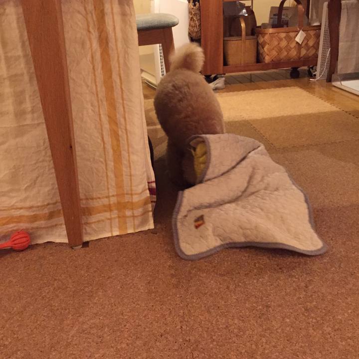 6280b075 645e 43d2 aa44 438d4b100a28