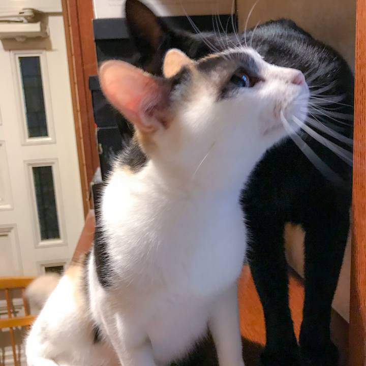 6280beff f5a2 4d7f a460 5b793abb1931