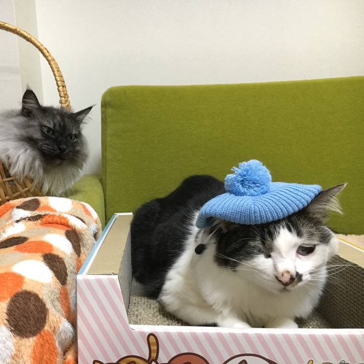 6280e66a 4435 41c6 bc18 2a093bf99279